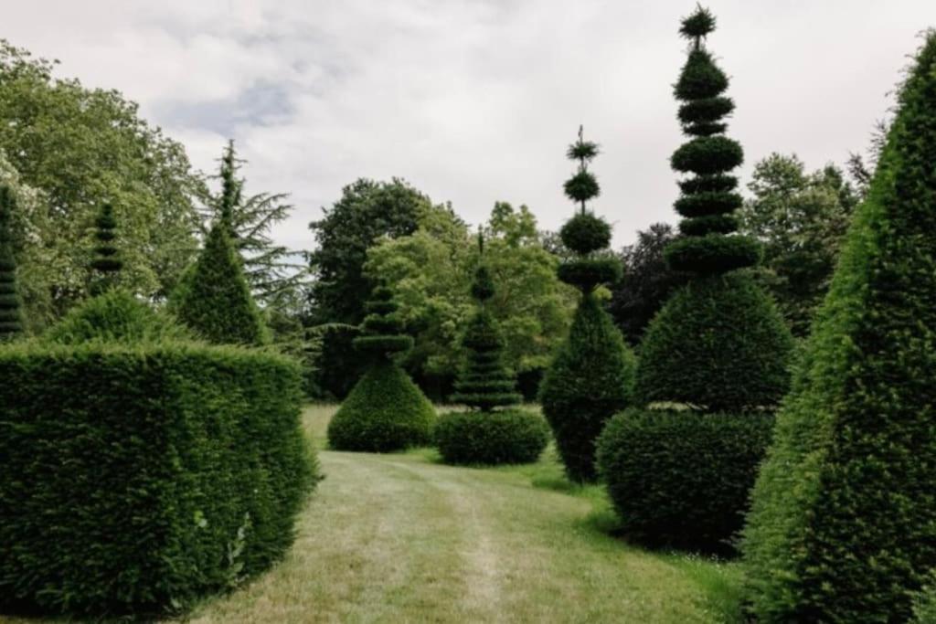 Cressy Hall - Historic Grade II Listed Manor, Gorgeous Topiary Garden Gosberton Exterior foto